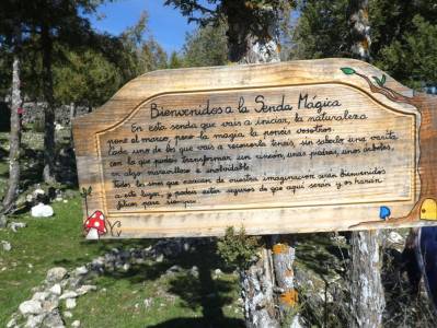 un bosque Jurásico - Sabinar y Cañón del río Caslilla; puente el pilar donde nace el rio jarama carr